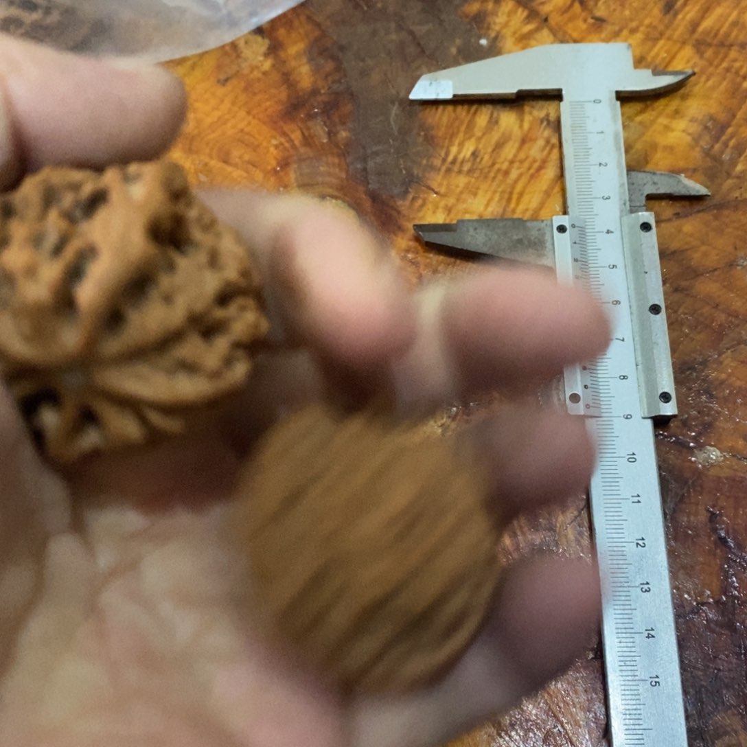 秦岭南侧和东北的山门