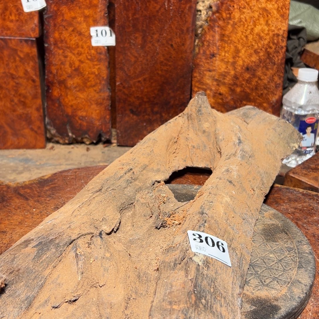 L***丽大果紫檀（缅甸花梨）