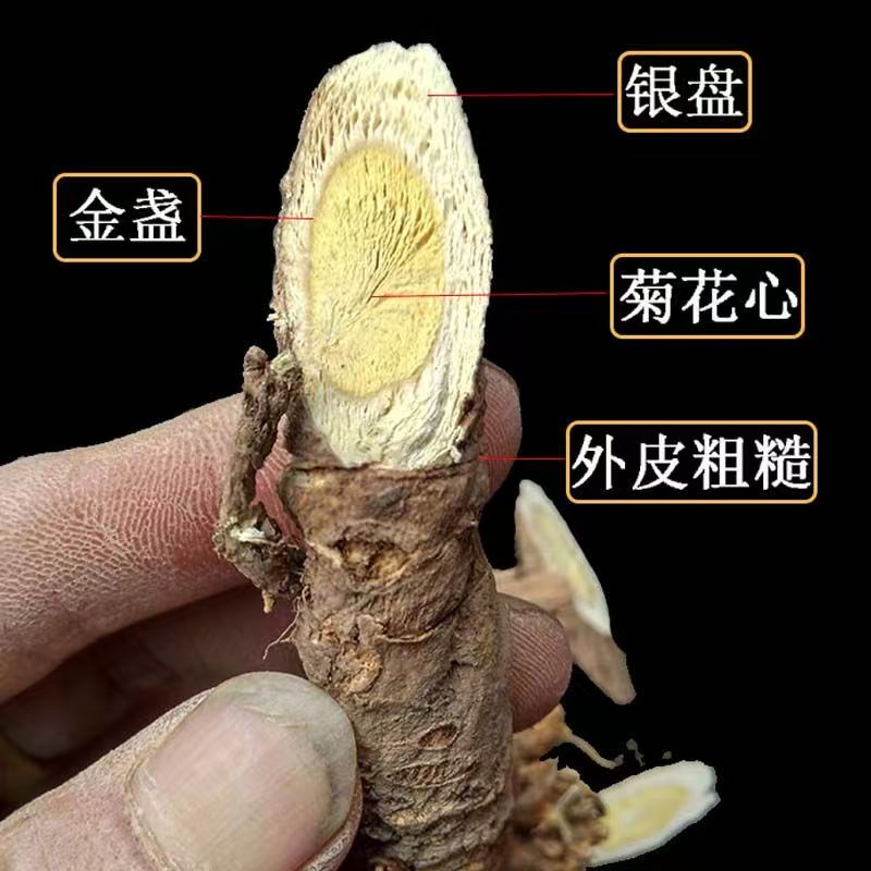 【刘土地家】云南深山野生黄芪