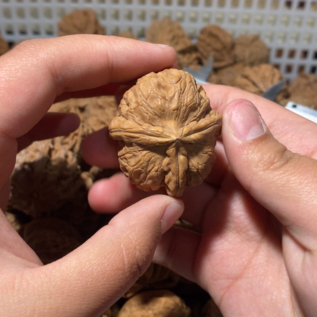 问***林吊坠文玩核桃文文