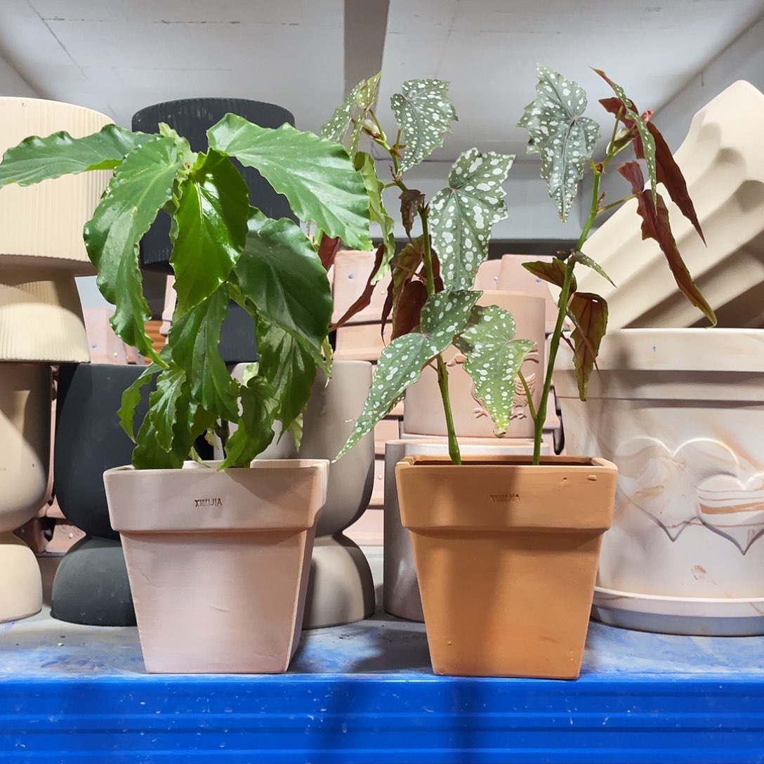 口14×14   备注颜色发2不含绿植