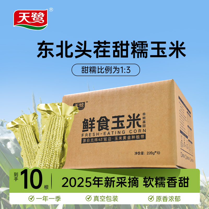 2025十月穗田玉米甜糯玉米正宗东北甜糯黏玉米 饱腹鲜玉米大整棒