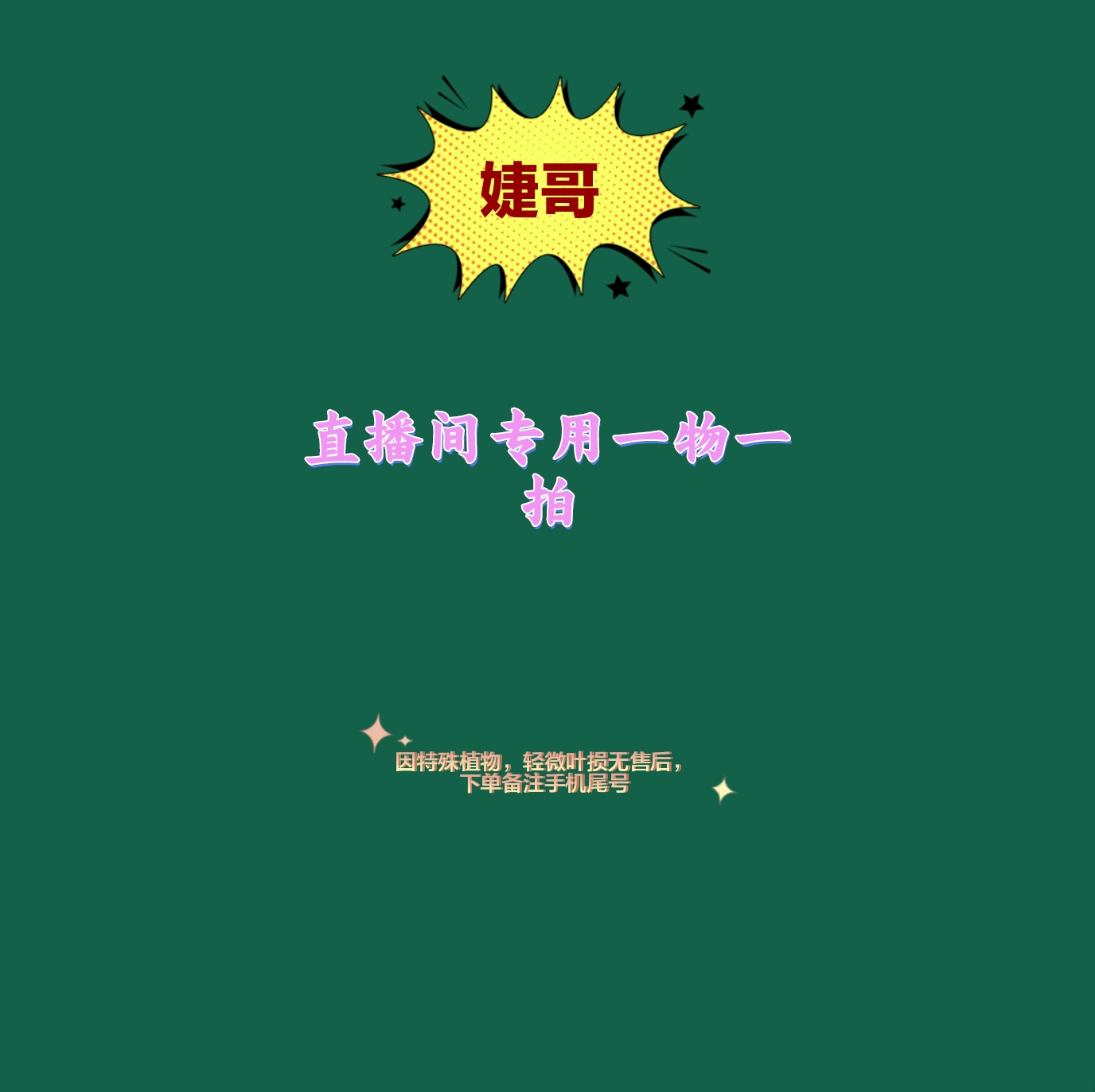 锦化龟背竹柠檬 焦糖 薄荷专用一物一拍