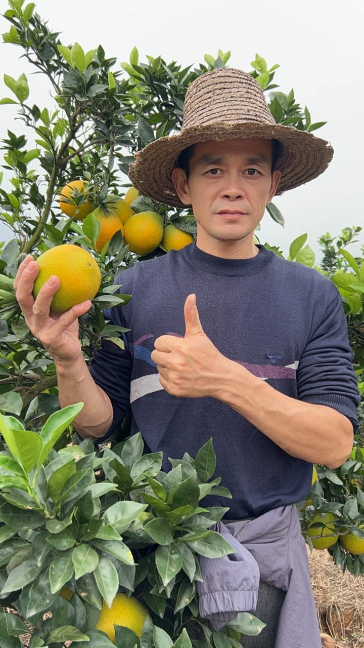 【潭边老谢】江西赣南脐橙新鲜现摘应季水果皮薄香甜多汁产地直发