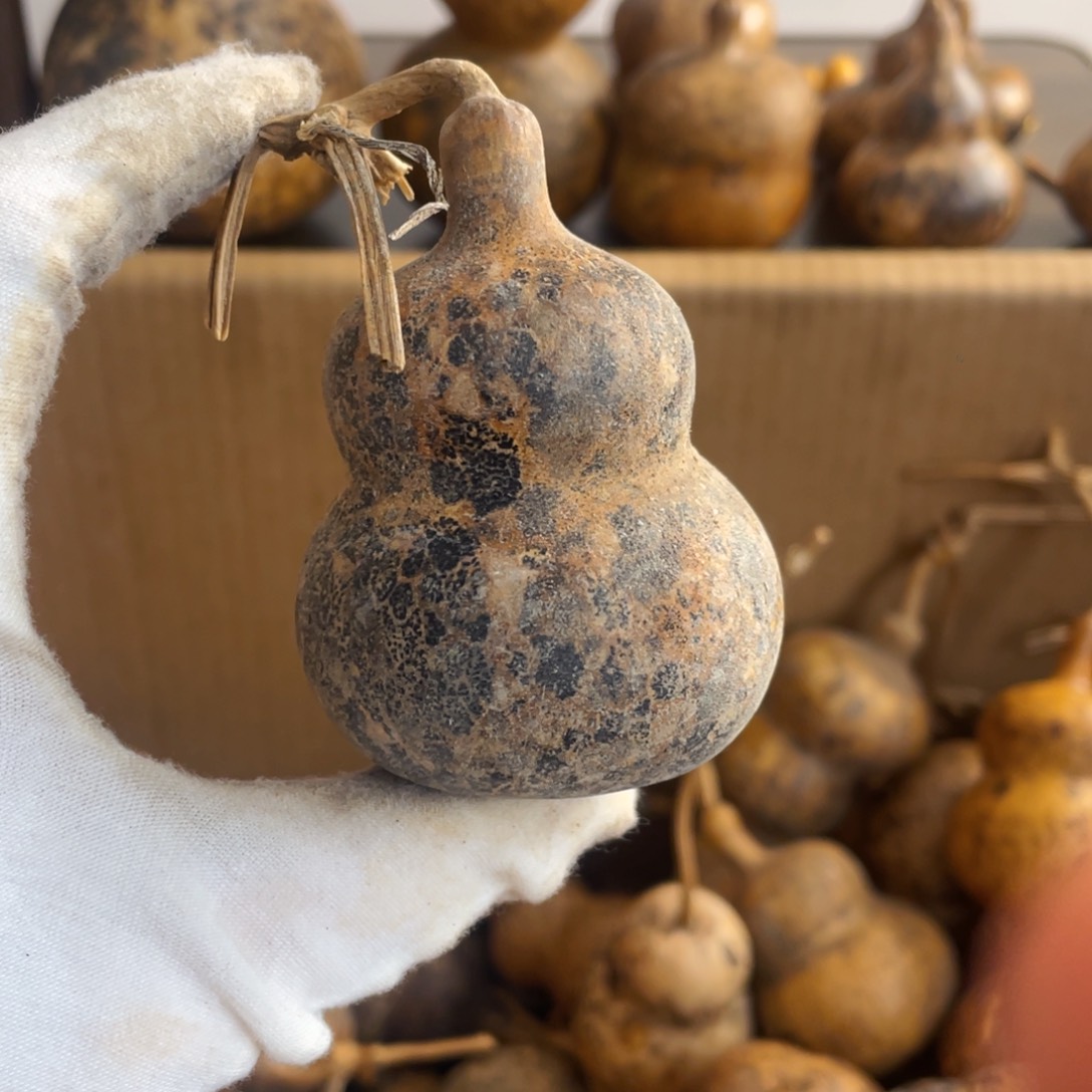 香榧木许****初葫芦葫芦