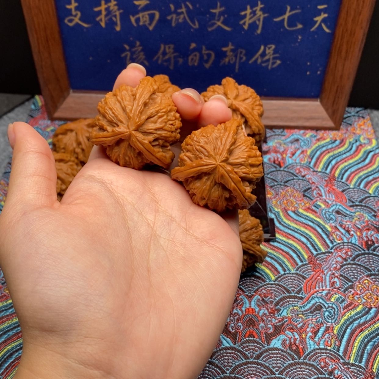 【闪购商品】舒****的白狮