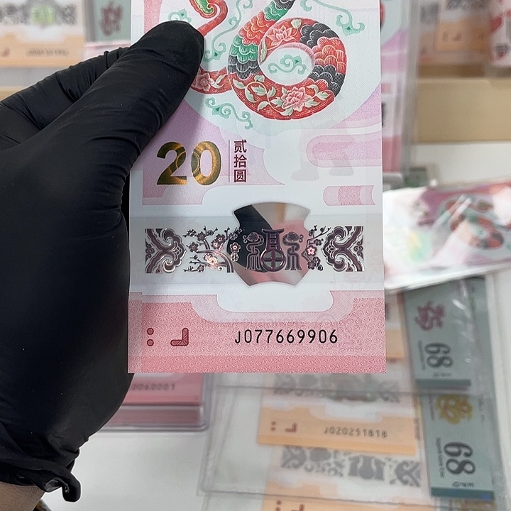 塑料蛇钞-9906———-/—————