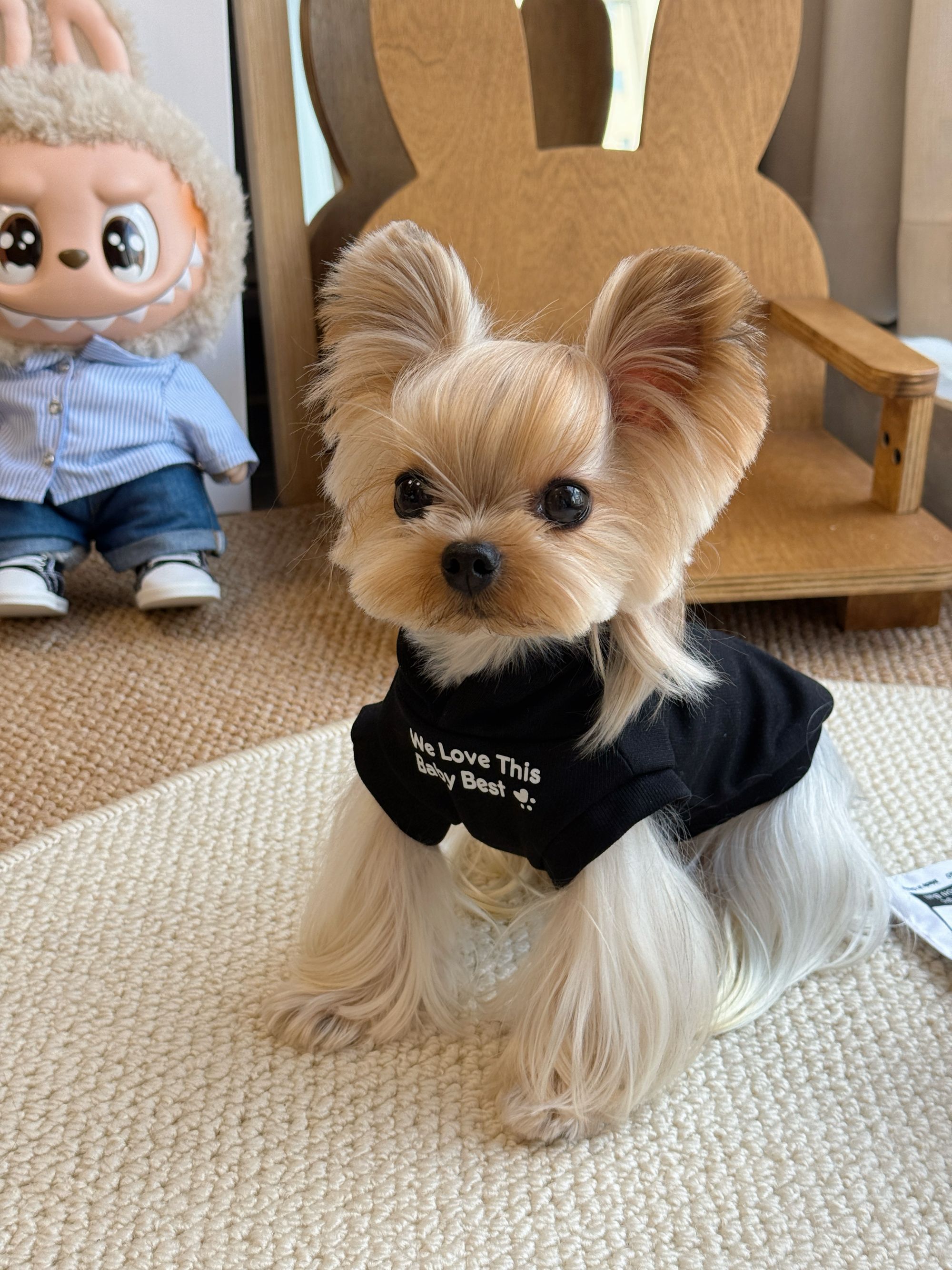 小甜粥宠物服春秋卫衣连帽衫约克夏马尔济斯狗狗猫咪衣服