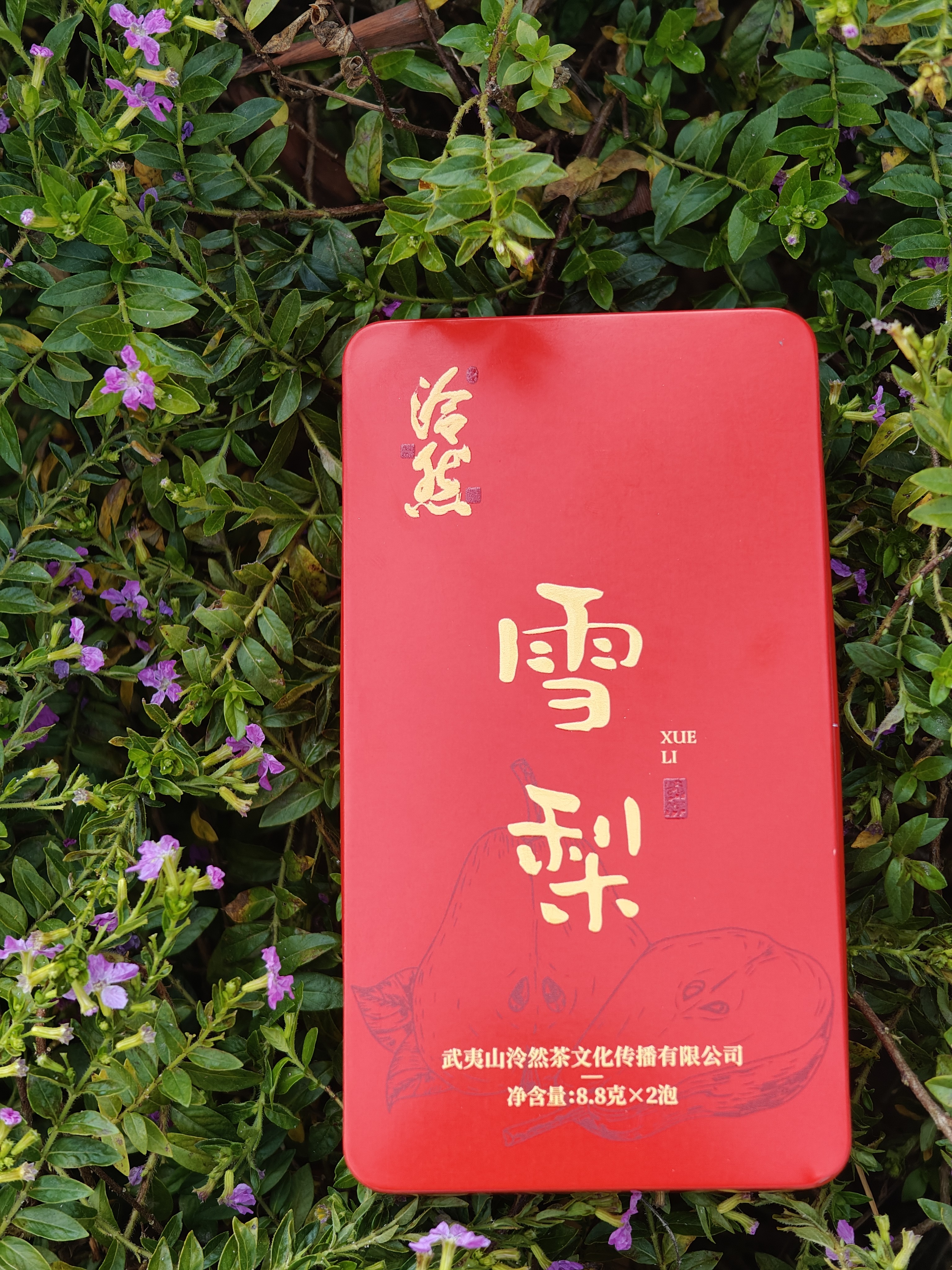 泠然茶叶佛手雪梨一品鉴17.6g