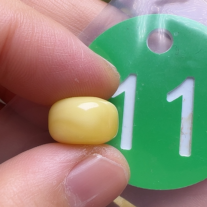 蜜蜡未镶嵌珠宝奇石12mm水线