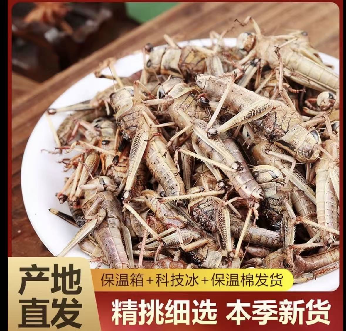 山东特产新鲜蚂蚱 蝗虫 蚱蜢 纯母去翅带籽带黄 活体速冻东亚飞蝗