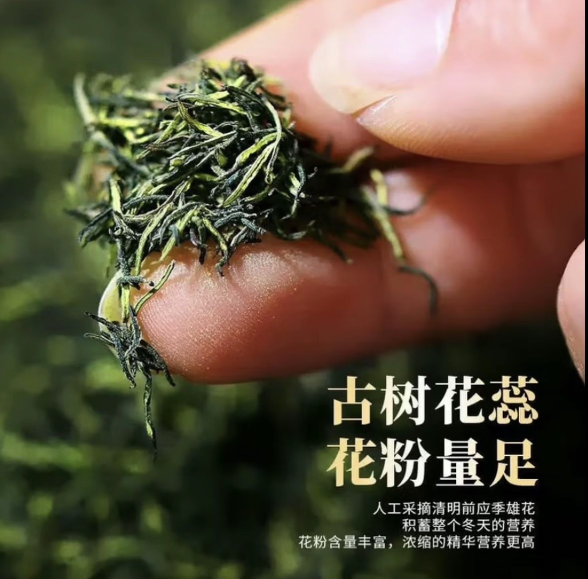 【雄茱固元茶】（杜仲雄花-男女茶可搭枸杞