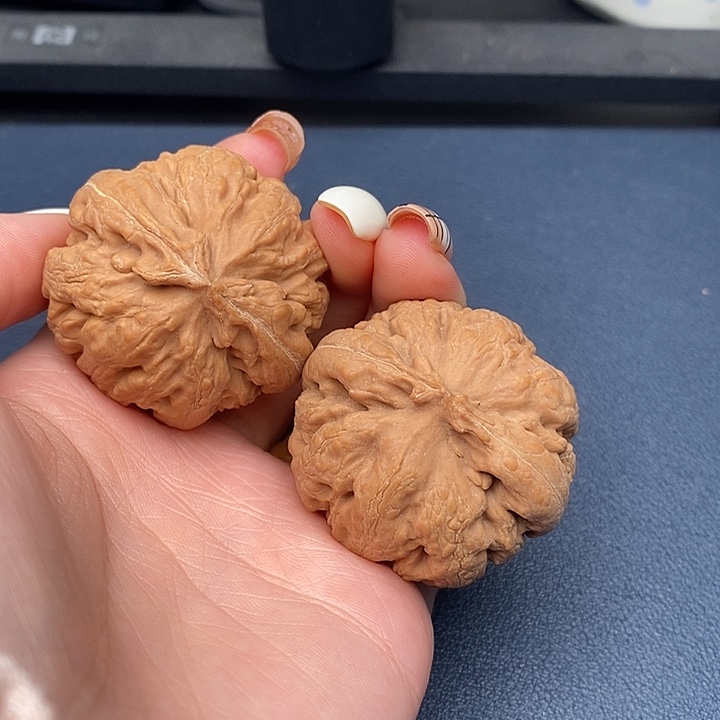 刘***奶霸王龙全品无刀休