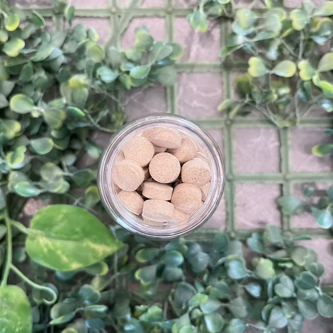 雨腾古茶 北X和“ T果 ”J华 绝S 黑J珍珠小Y 60g/罐（12月25）