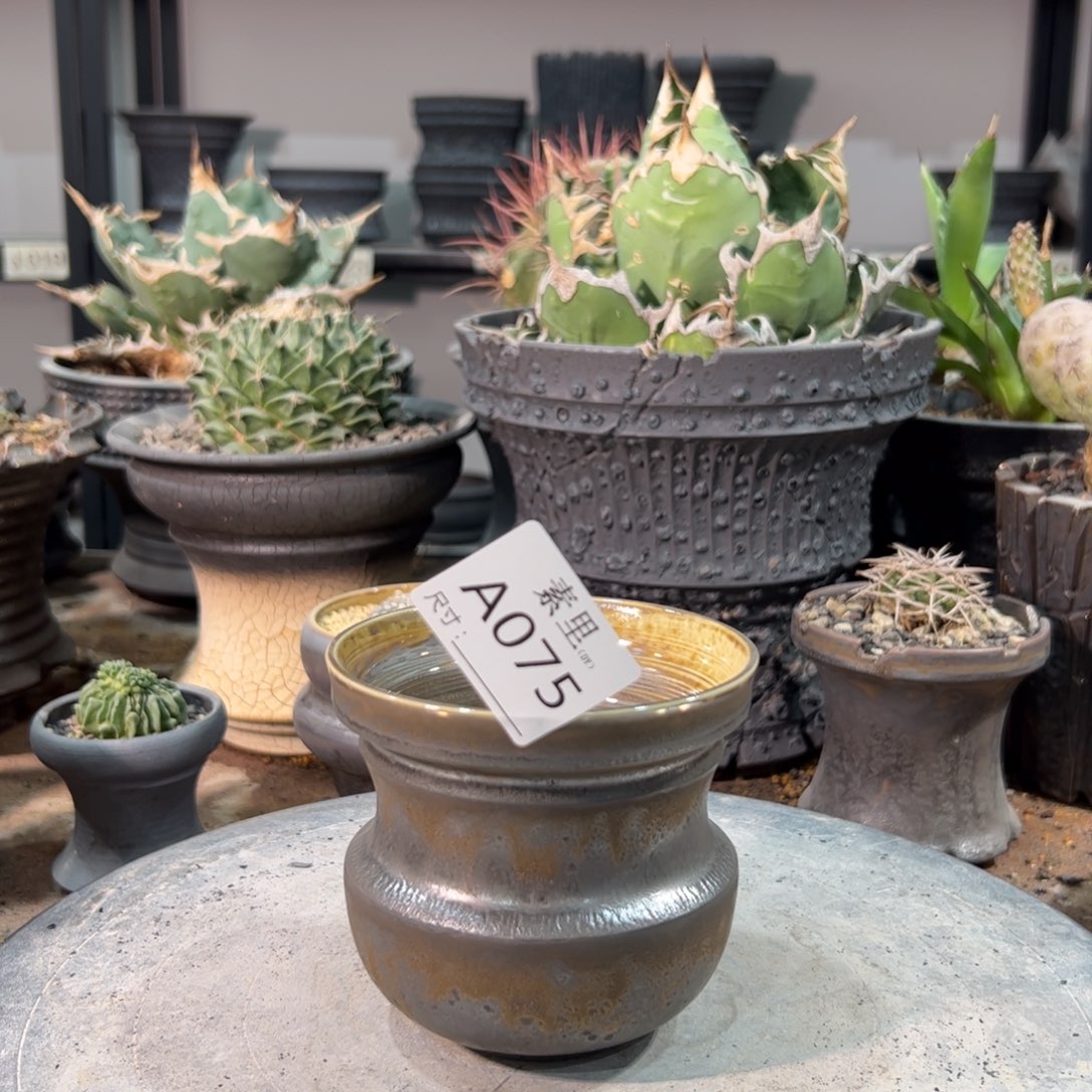 景德镇手工素里内口9.5高9