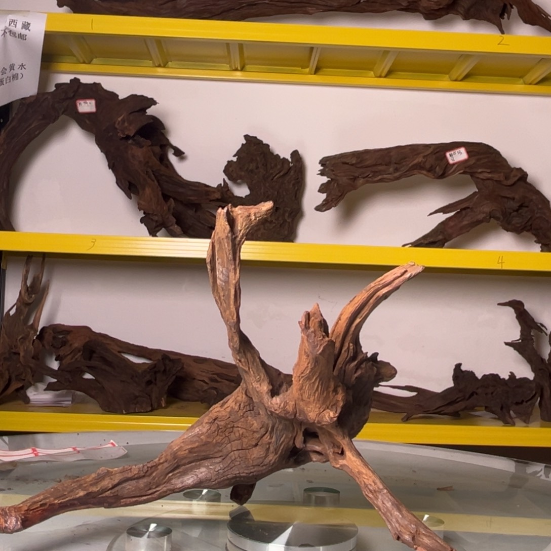 香榧木N****╆鱼缸造景家居摆件