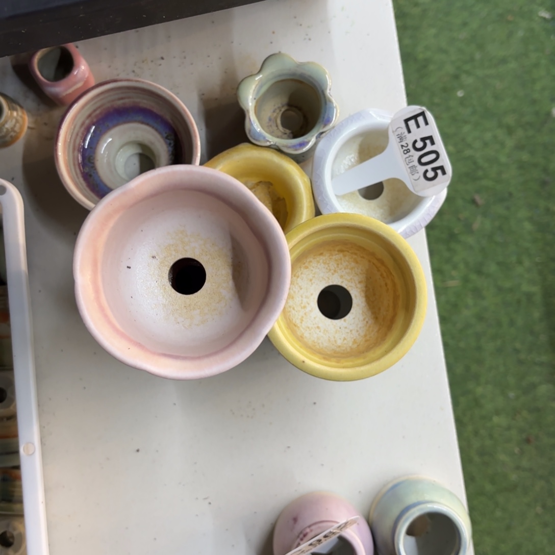 美***夕E505一堆盆一物一拍