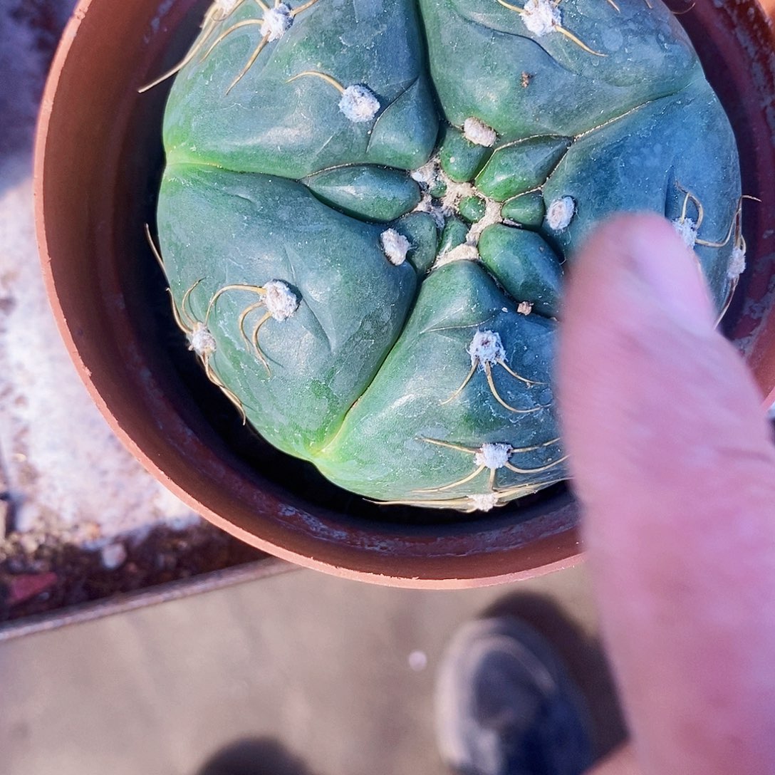 完全开放海王1111111111