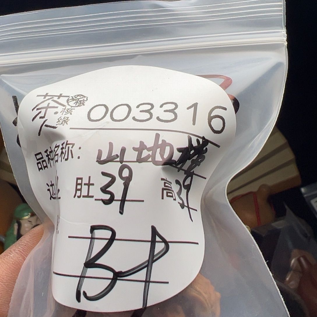 吊坠文玩核桃今天