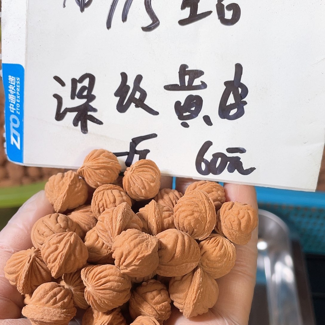 桃核手串2号黄皮深纹金豆无孔不挑14/15一斤