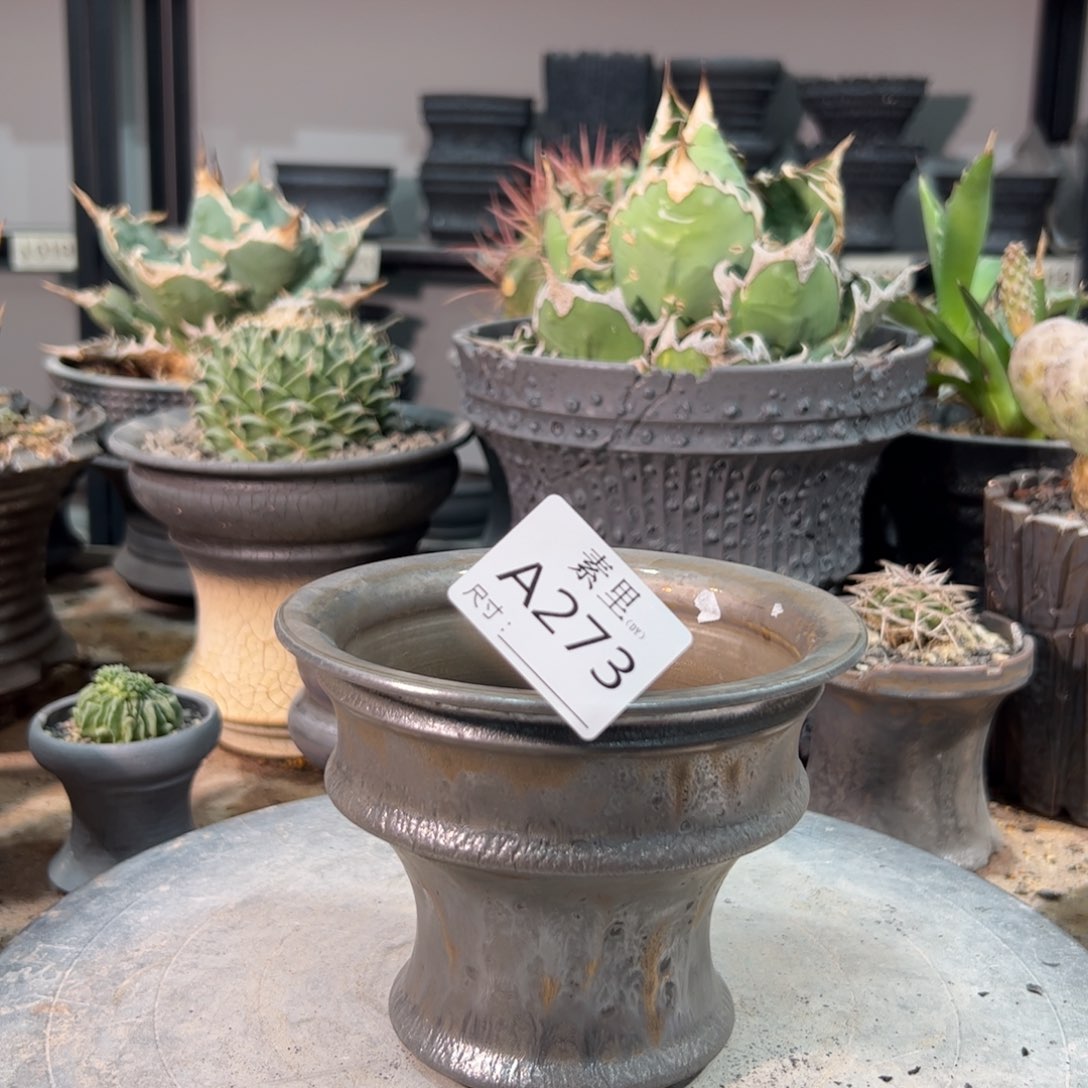 景德镇手工素里内口12该10.5