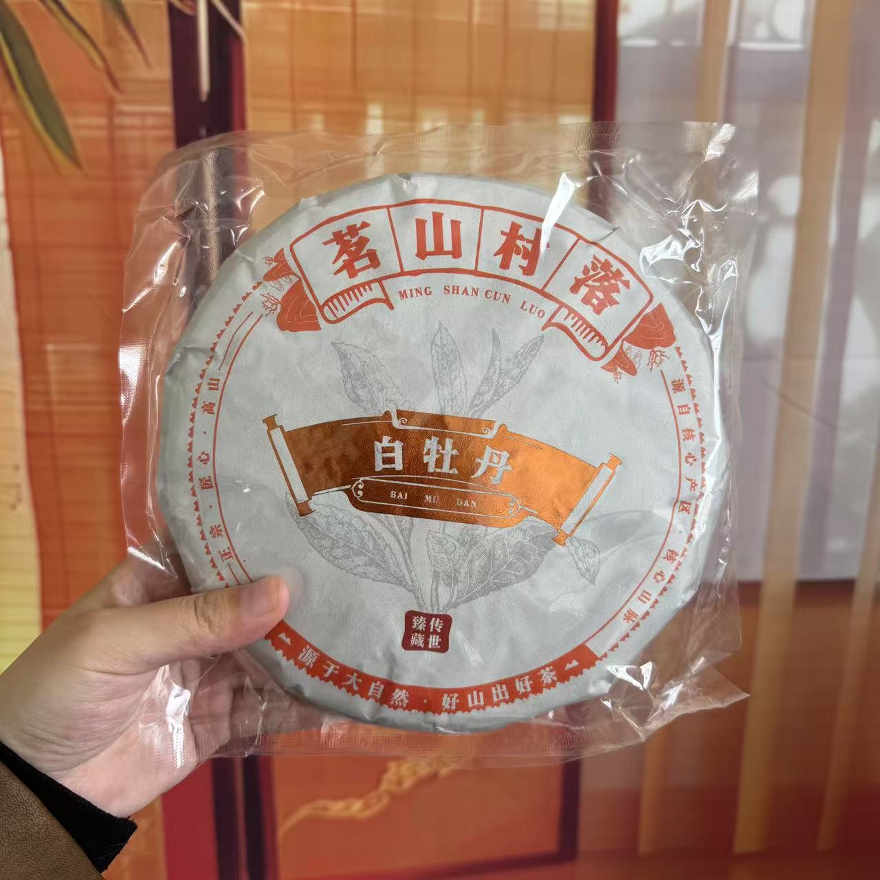 精品高山白牡丹花果香