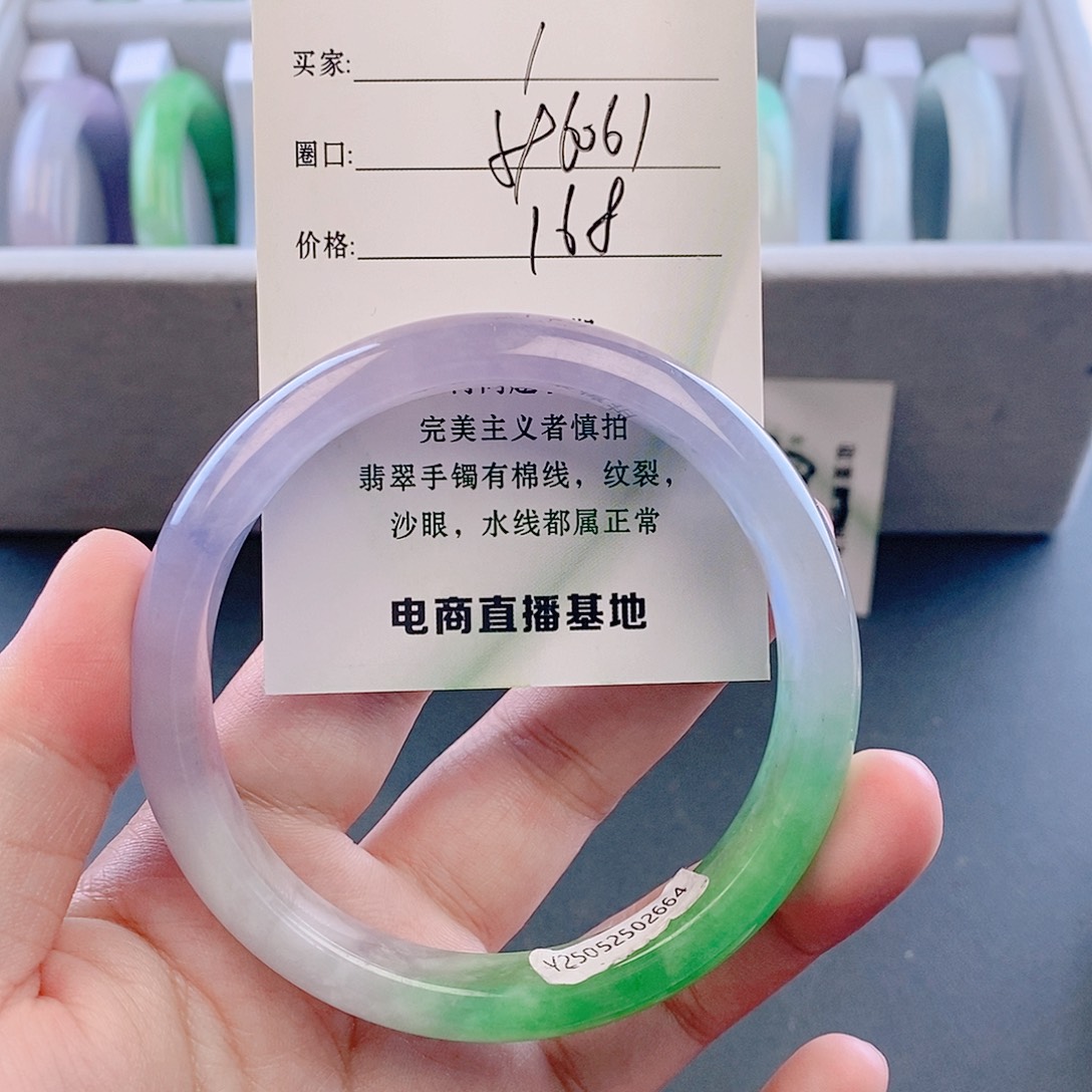 未镶嵌手镯翡翠微包容1