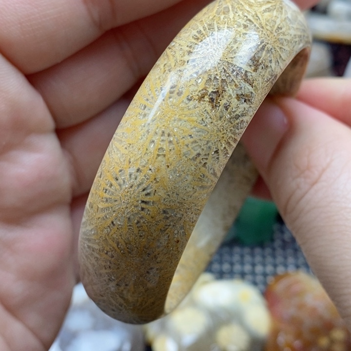 硅化珊瑚（珊瑚玉）颈饰未镶嵌55