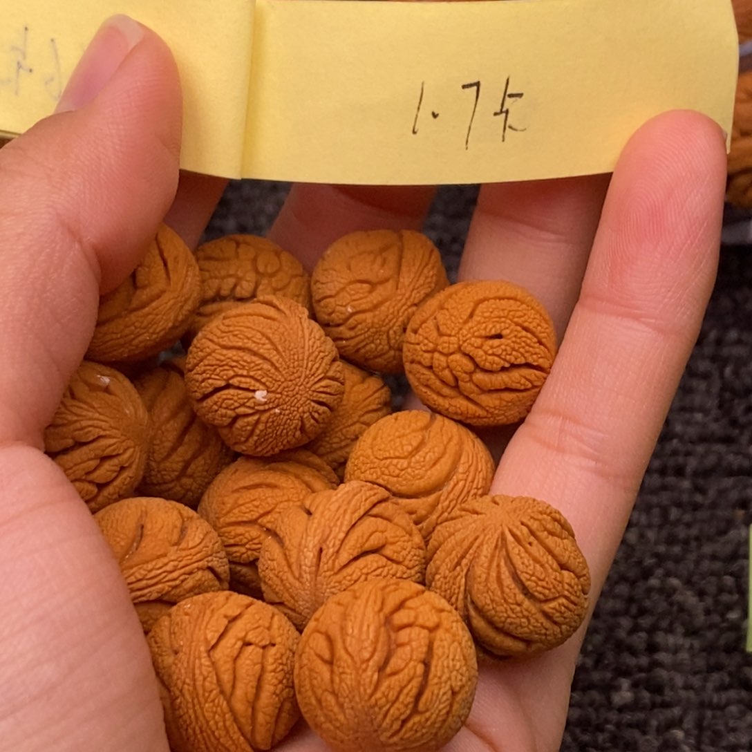 秦岭山脉龙纹桃核 15