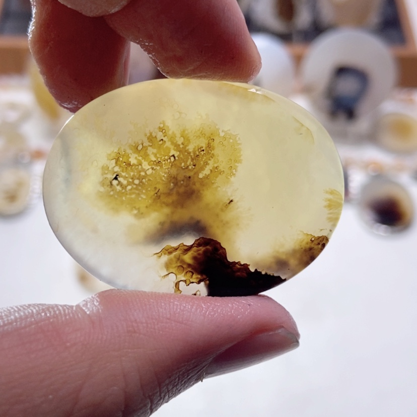 【闪购商品】玛瑙/玉髓颈饰未镶嵌