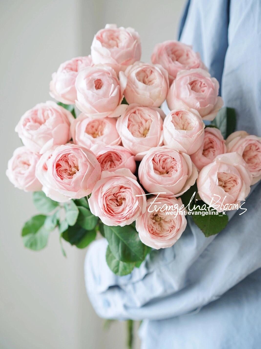 【向云端】酷皮-单头玫瑰