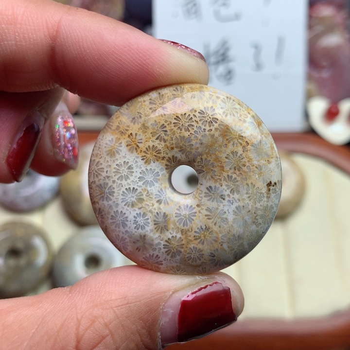 硅化珊瑚（珊瑚玉）颈饰未镶嵌