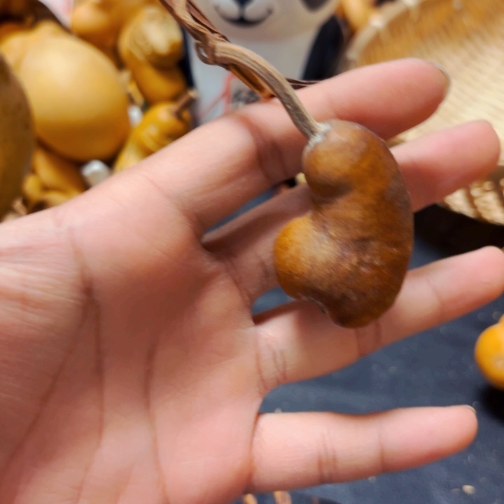 遇*猫8888888888888888888