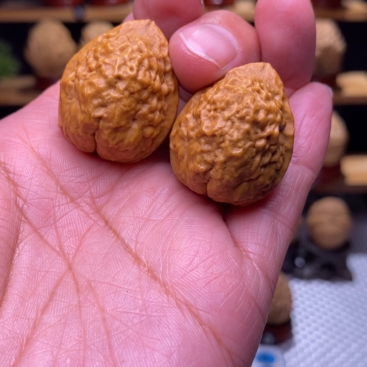 木质类云铁云石舍利151