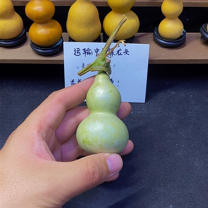 A****k哈哈哈哈哈哈哈哈哈