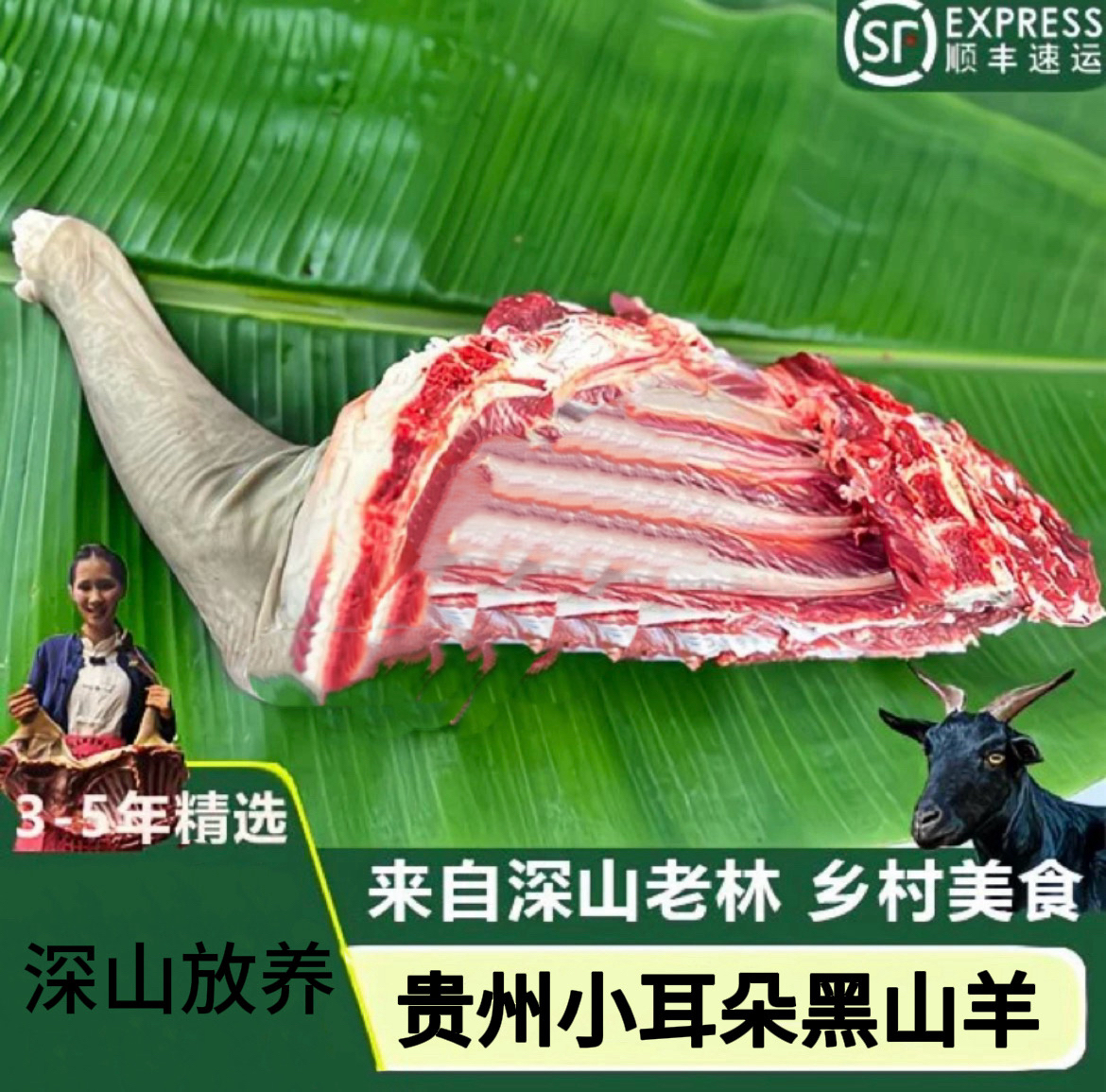 贵州黑山羊 直播间现场称重【顺丰包邮】