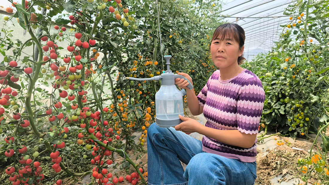 新款3L侧开口打药喷壶气压式喷雾器浇水壶洒水壶打药消毒清洁专用