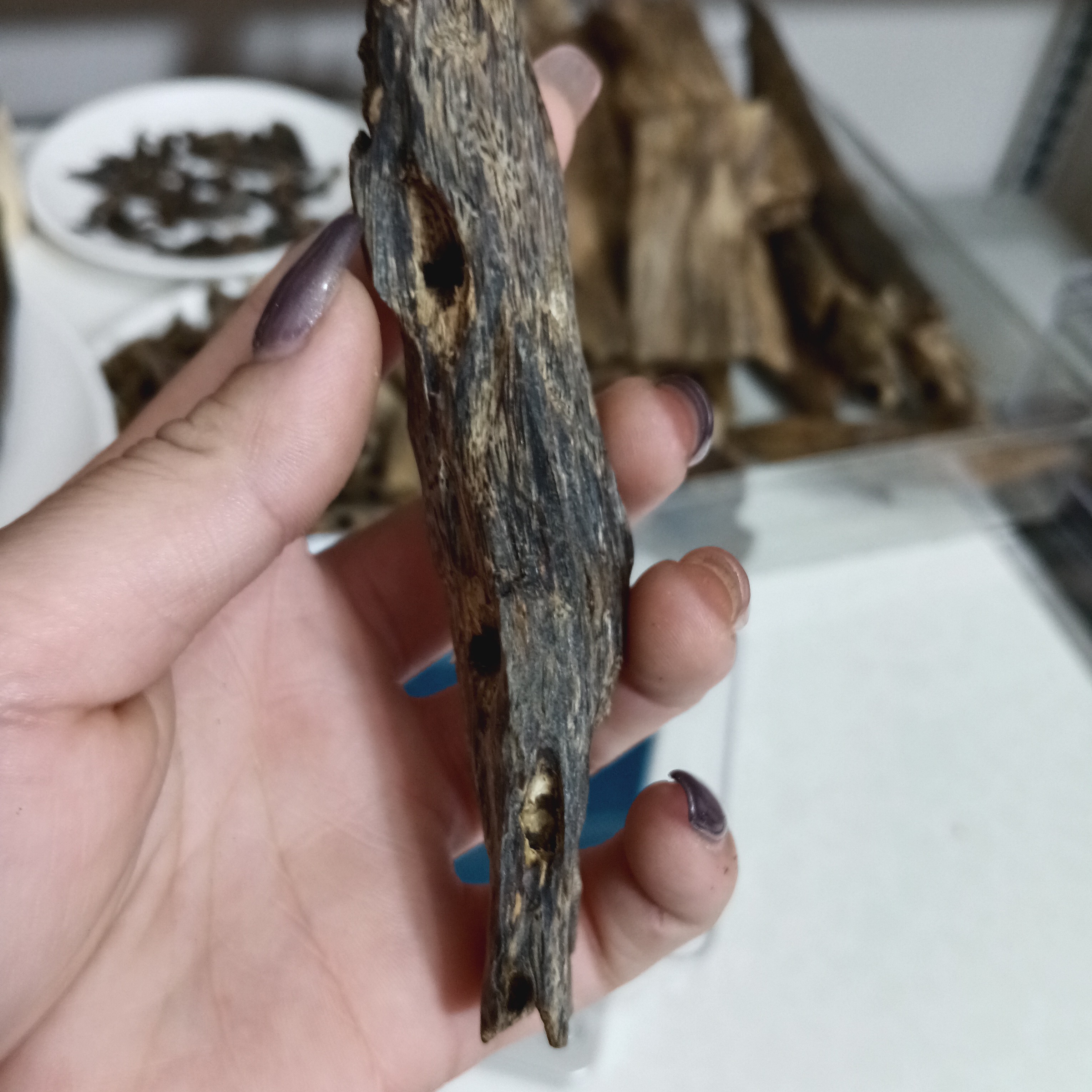 用虫漏干熏香料样式以直播间为准