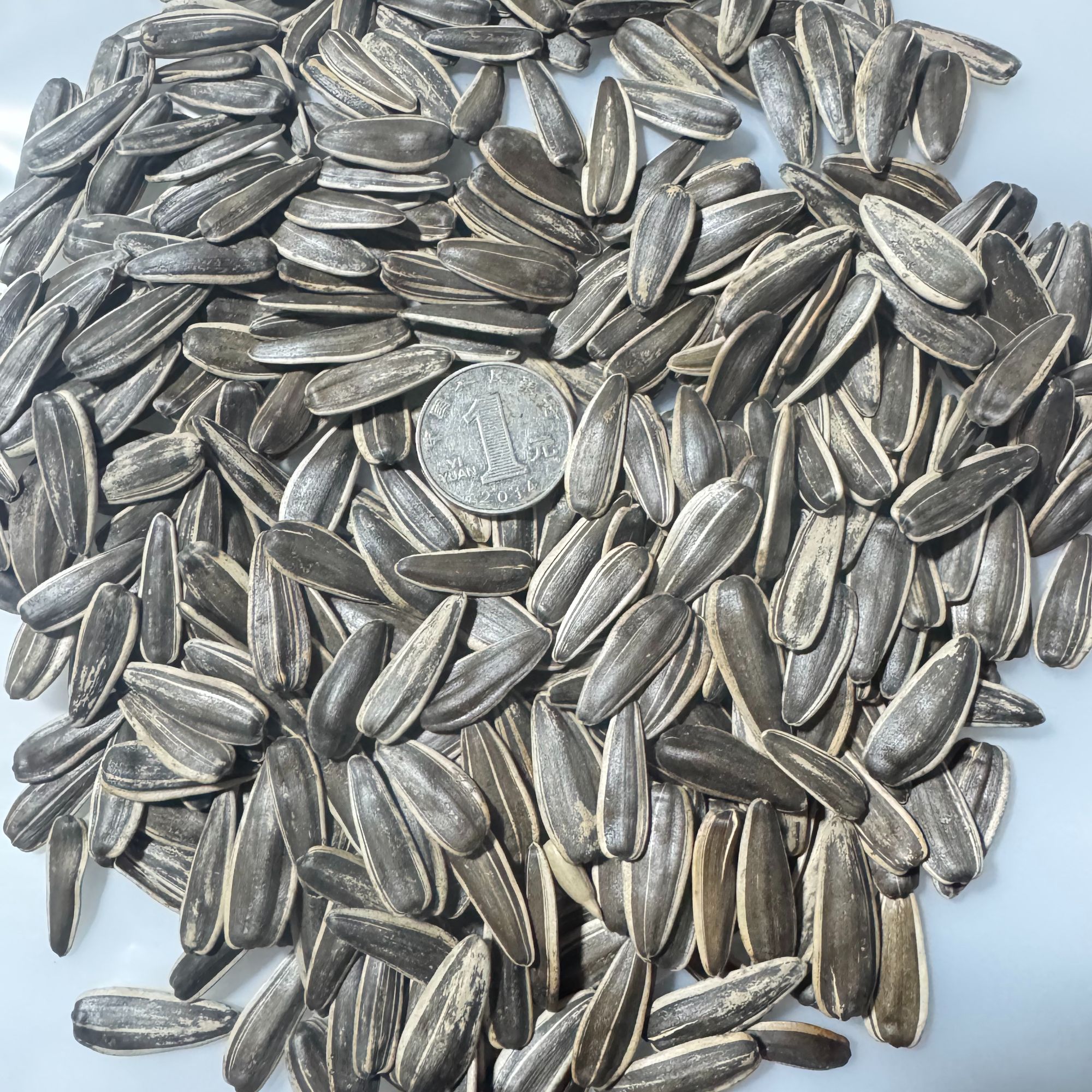 【爱心助农两斤】原味中大颗粒葵花籽现炒熟瓜子皮薄易磕