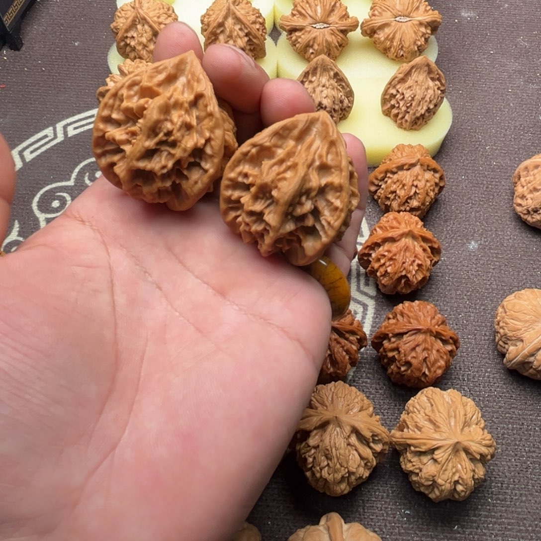 2***3核桃帝王三棱1111111