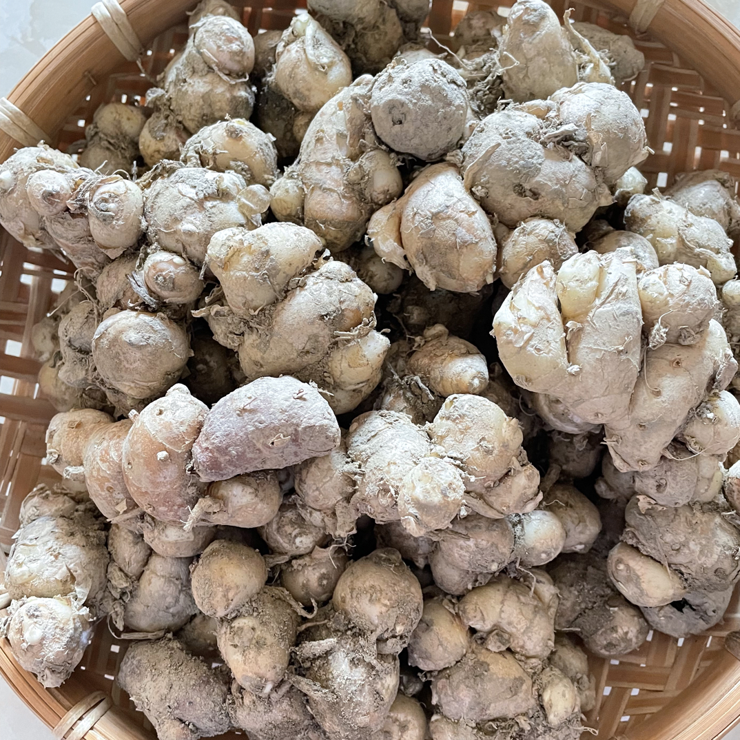 新鲜现挖沙姜香气浓郁厨房必备调味佳品