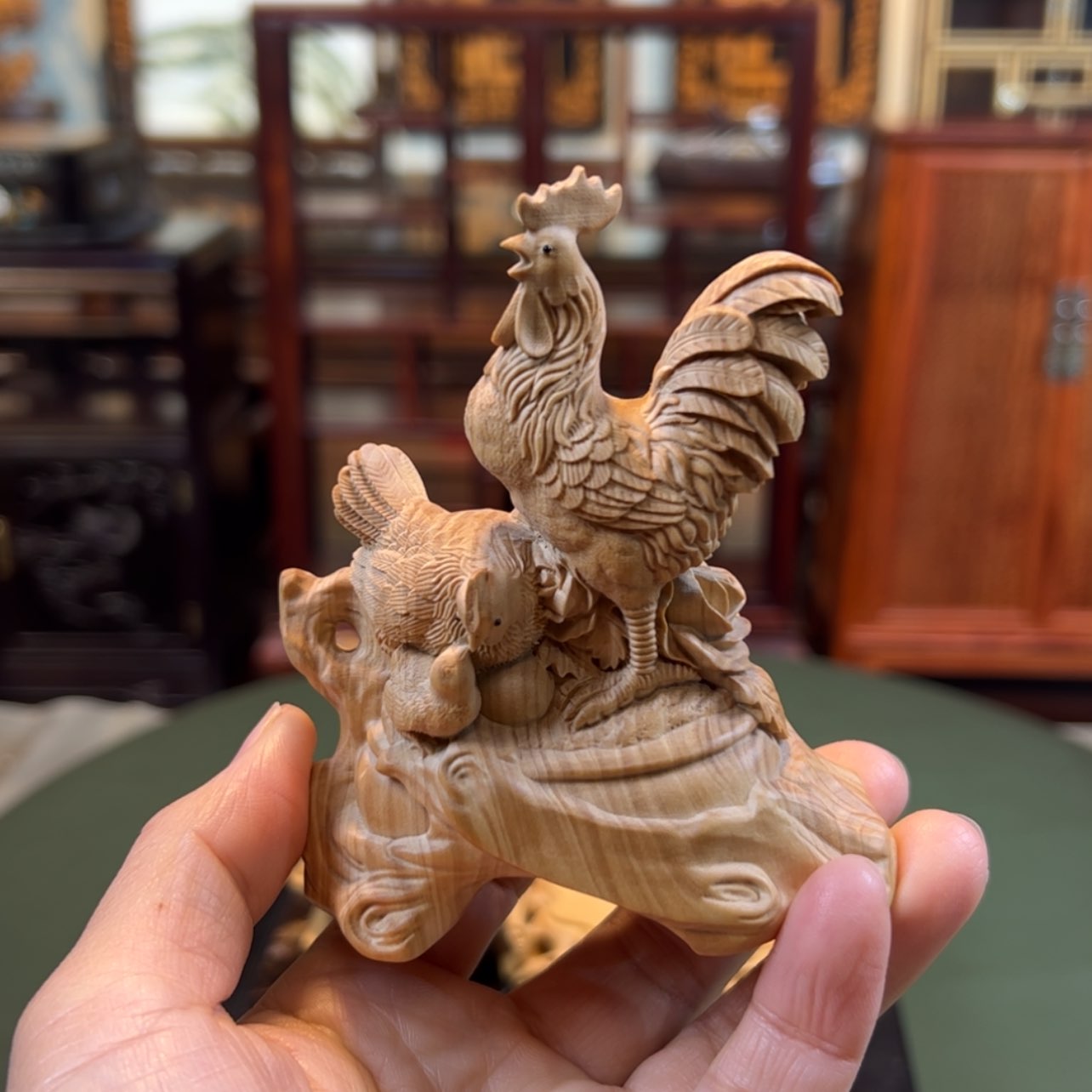 【闪购商品】黄杨木其他黄杨木