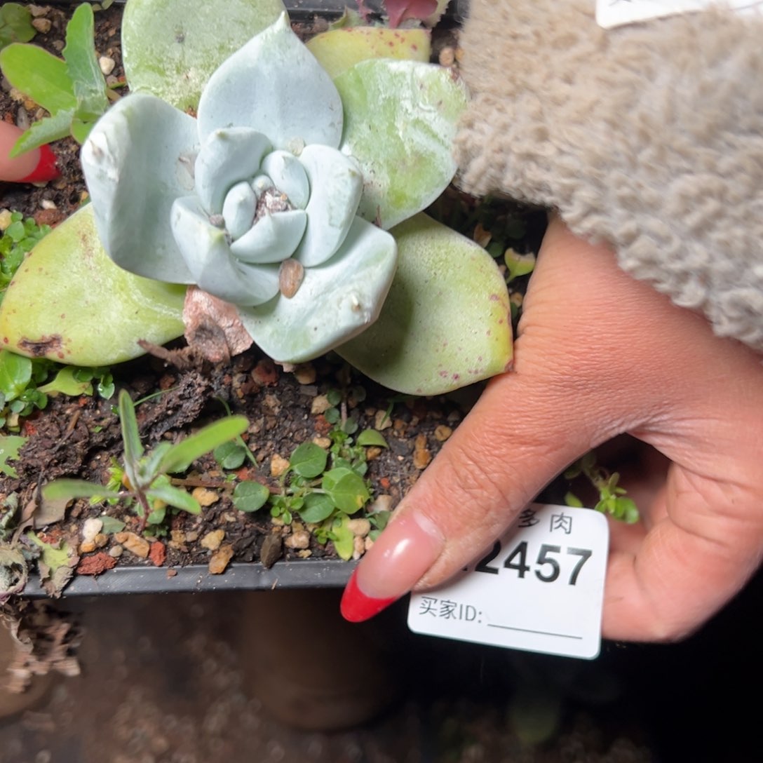 457哈哈哈哈哈哈哈哈