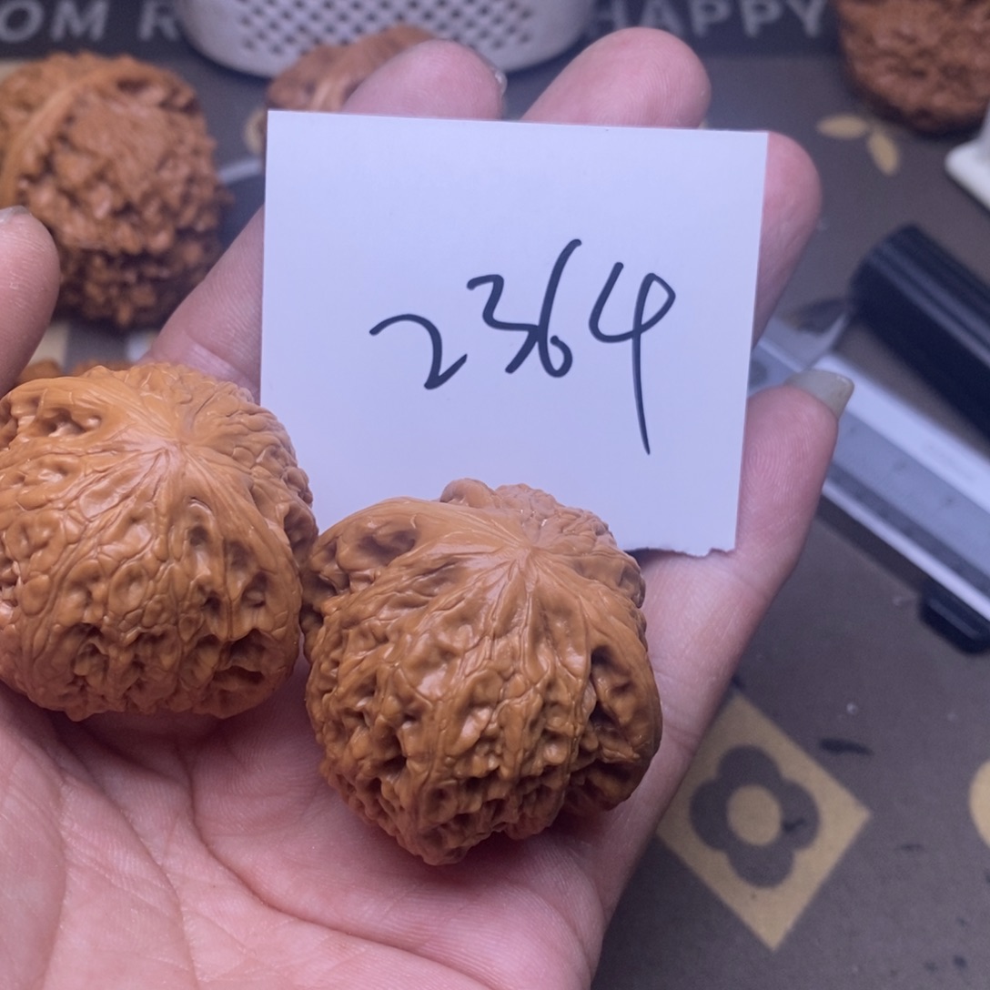 核桃铁锤妹妹尺寸40