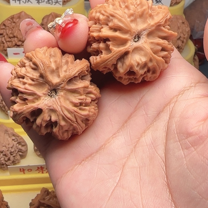 ㅤ***ㅤ汪汪核桃，苹果园弯弯，核桃苹果园全屏