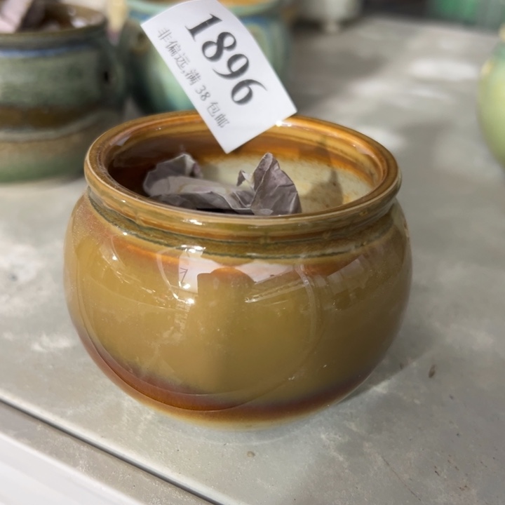 特价口3～6未满30运费到付