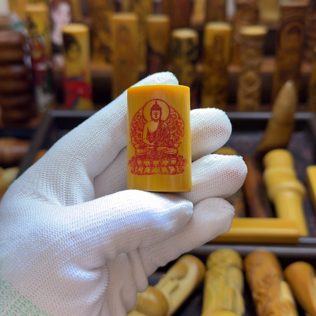 竹类精品实心玉竹