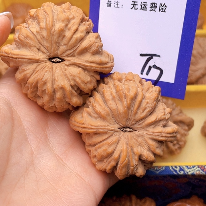 把件文玩核桃沉**金文玩核桃龙鼎17