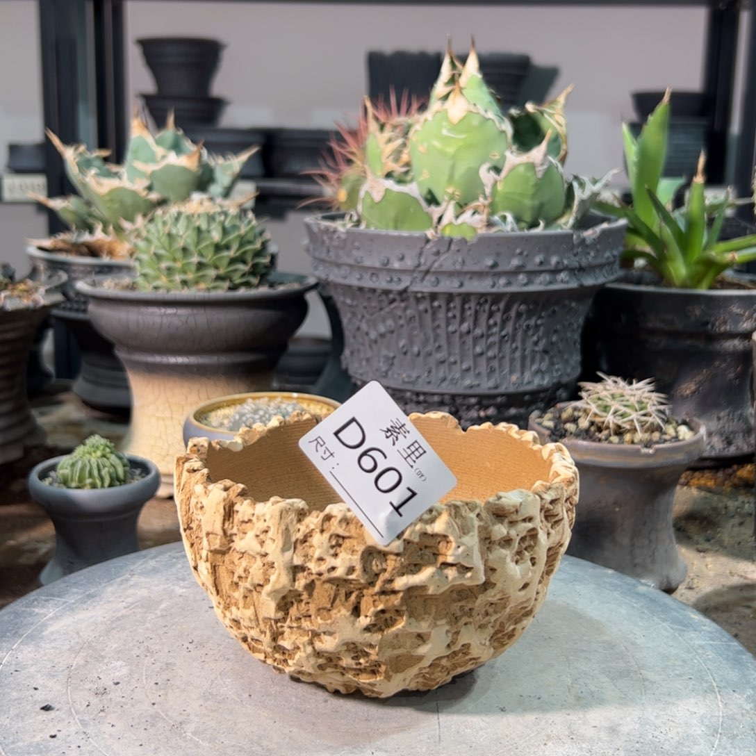 景德镇素里手工内面12高7.5