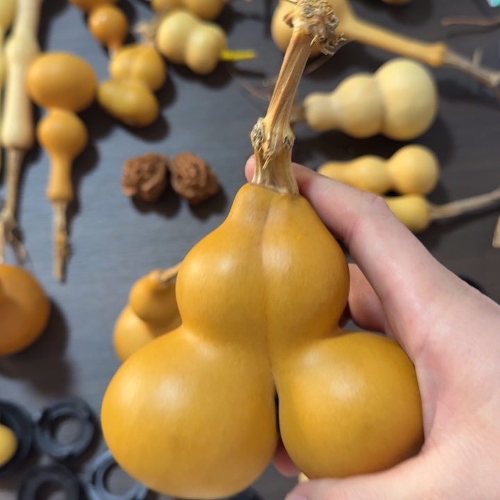 冬***把精品八宝双胞胎周正